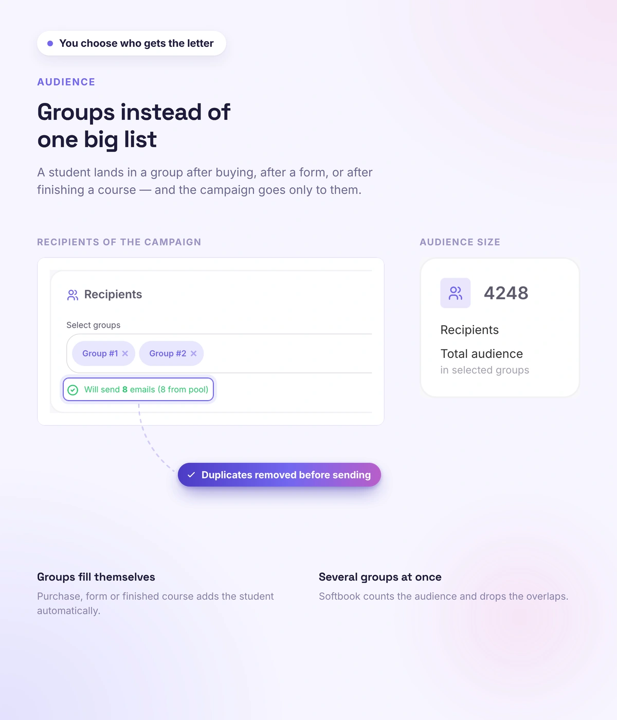 Student groups for a campaign in Softbook
